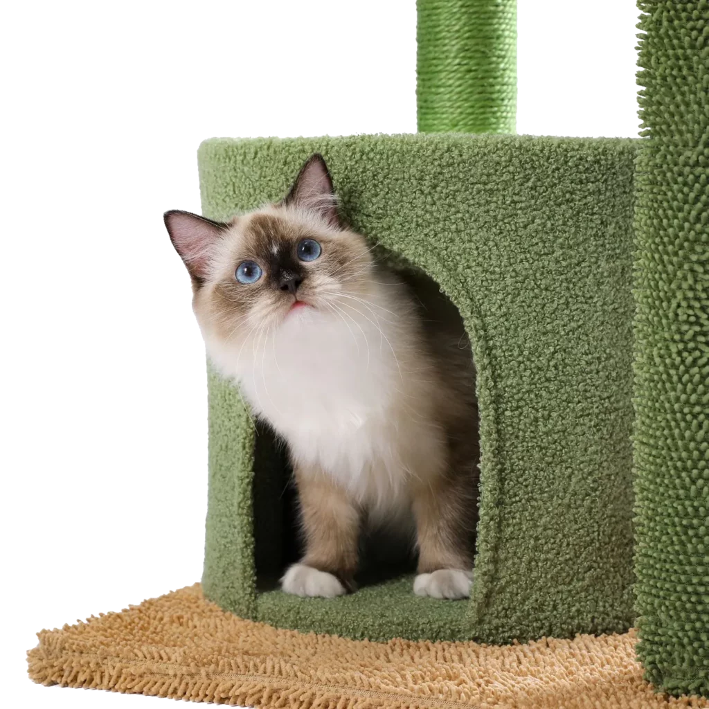 <p style="font-weight: 400;">Offrez à votre félin le summum du confort et de la joie avec notre arbre à chat design.</p> <p style="font-weight: 400;"><span style="font-weight: 400;"> Combiné de peluche, d bois et de sisal, il présente un espace moelleux et robuste pour tout type de détente et de jeu. Une niche avec étages multiples est amicale pour les foyers comptant plusieurs chats. </span> [cg_accordion title="Matériau"] Peluche + Bois + Sisal [/cg_accordion] [cg_accordion title="Avantage"]</p> <ul style="font-weight: 400;"> <li>Il s’agit un arbre à chat original avec niche et plateformes en différentes hauteurs pour accueillir plusieurs chat ensemble</li> <li>Polyvalent pour toutes les activités de détentes (dormir/se reposer/s’amuser/observer son royaume en hauteur...)</li> <li>Peluche épaisse avec support du bois assure un confort optimal et une solidité remarquable</li> <li>Boules à ressort et suspendue ainsi les branches de cactus invitent votre chat à jouer et s’amuser</li> <li>Grand socle enveloppé de peluche pour éviter tout glissement lors des sauts</li> <li>Parties en sisal créent de l’espace idéal pour griffer</li> <li>Design chic inspiré d’une oasis de désert pour une déco intérieure sympa [/cg_accordion] [custom_combined_shortcode title=" Guide de tailles" id="30883"] [cg_accordion title="Livraison"] Livraison sera effectuée dans un délai de 7 à 28 jours ouvrables dès votre commande validée. <span lang="FR"> </span>[/cg_accordion][cg_accordion title="Retour"] En cas d’insatisfaction, vous avez 14 jours à partir de la réception pour demande un retour. [/cg_accordion]</li> </ul>