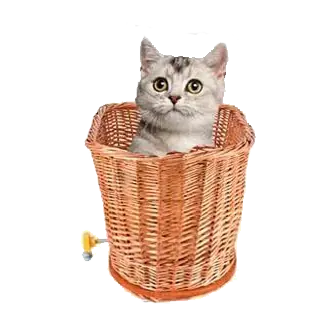 <p style="font-weight: 400;">Emmenez votre félin en balade stylée avec ce panier transport chat ! </p> <p style="font-weight: 400;"><span style="font-weight: 400;"> C’est un ajout pratique à votre vélo pour vos aventures ensembles ! Combinaison de saule et de métal avec un coussin dans l'intérieur, il assure une utilisation durable et un confort ultime. </span> [cg_accordion title="Matériau"] Saule + Inox + Peluche [/cg_accordion] [cg_accordion title="Avantage"]</p> <ul style="font-weight: 400;"> <li>Ce panier osier chat artisanal crée une esthétique rustique, ajoutant une touche sympathique à vos sorties à vélo </li> <li>Polyvalent pour transporter divers objets </li> <li>Combinaison de saule et d’inox assure une utilisation durable qui résistante aux intempéries et à l’usure </li> <li>Coussin amovible crée un confort idéal [/cg_accordion] [custom_combined_shortcode title=" Guide de tailles" id="34451"] [cg_accordion title="Livraison"] La livraison s’effectuera dans un délai de 7 à 28 jours ouvrables dès la validation de votre commande. <span lang="FR"> </span>[/cg_accordion][cg_accordion title="Retour"] Si, pour quelque raison que ce soit, vous n'êtes pas pleinement satisfait, une demande de retour serait possible dans les 14 jours suivant la réception.[/cg_accordion]</li> </ul>