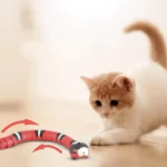 Un chat curieux joue avec un serpent en jouet coloré sur un parquet en bois.