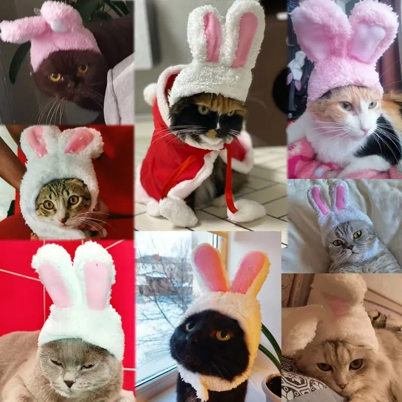 <p style="font-weight: 400;">Ce bonnet pour chat, vous permet d’offrir à votre félin une touche très mignonne ! </p> <p style="font-weight: 400;"><span style="font-weight: 400;"> Que ce soit pour une escapade en plein air ou simplement une séance photo à partager sur réseaux sociaux, son design avec des oreilles de lapin crée son look charmant et lui aide à réduire des bruit, attirant également plein d’amour et d’attention des autres. </span> [cg_accordion title="Matériau"] Polyester [/cg_accordion] [cg_accordion title="Avantage"]</p> <ul style="font-weight: 400;"> <li>Ce chapeau pour chat, avec des oreilles de lapin, ajoute une touche mignonne à votre félin </li> <li>Polyvalent comme déguisement pour les fêtes, anniversaires, cache oreilles anti-bruit ou séance photo/vidéo </li> <li>Fermeture auto-agrippant ajustable facilite la mise et l’enlèvement, s’adaptant ainsi à différentes tailles de tête </li> <li>Polyester doux assure un confort optimal [/cg_accordion] [custom_combined_shortcode title=" Guide de tailles" id="38180"] [cg_accordion title="Livraison"] La livraison s’effectuera dans un délai de 7 à 28 jours ouvrables dès la validation de votre commande. <span lang="FR"> </span>[/cg_accordion][cg_accordion title="Retour"] Si, pour quelque raison que ce soit, vous n'êtes pas pleinement satisfait, une demande de retour serait possible dans les 14 jours suivant la réception.[/cg_accordion]</li> </ul>