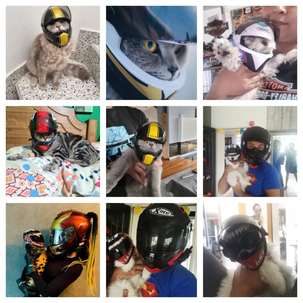 <p style="font-weight: 400;">Protégez la tête de votre félin avec notre casque moto chat ! </p> <p style="font-weight: 400;"><span style="font-weight: 400;">Il est idéal pour vos aventures en deux roues, ajoutant une touche de style à votre duo. La combinaison de PC et d’éponge épaisse assure une résistance optimale aux chocs tout en offrant un meilleur confort. </span> [cg_accordion title="Matériau"] PC + Éponge [/cg_accordion] [cg_accordion title="Avantage"]</p> <ul style="font-weight: 400;"> <li>Ce casque moto pour chat est essentiel pour la sécurité lors d vos voyages en deux roues </li> <li>Design adorable le rend très mignon, attirant donc davantage d’amour et d’attention des autres </li> <li>PC résistant aux chocs avec éponge épaisse assure une protection optimale, un confort ultime et une sensation moelleuse </li> <li>Bord allongé améliore la circulation de l’air, offrant une respirabilité parfaite [/cg_accordion] [custom_combined_shortcode title=" Guide de tailles" id="34884"] [cg_accordion title="Livraison"] La livraison s’effectuera dans un délai de 7 à 28 jours ouvrables dès la validation de votre commande. <span lang="FR"> </span>[/cg_accordion][cg_accordion title="Retour"] Si, pour quelque raison que ce soit, vous n'êtes pas pleinement satisfait, une demande de retour serait possible dans les 14 jours suivant la réception.[/cg_accordion]</li> </ul>