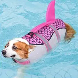 <p style="font-weight: 400;">Notre gilet sauvetage chien, vous permet de donner à votre canin une protection globale lors de vos aventures aquatiques !</p> <p style="font-weight: 400;"><span style="font-weight: 400;">Que ce soit pour les baignades à la plage, les sorties en mer ou les balades en bateau au lac, vous pouvez garder votre chien en toute sécurité et mignonnerie !</span> [cg_accordion title="Matériau"] Nylon Oxfords + Polyester + Mousse [/cg_accordion] [cg_accordion title="Avantage"]</p> <ul style="font-weight: 400;"> <li>Ce gilet de sauvetage pour chien ajoute une touche de mignonnerie de requin à votre canin, attirant donc plein d’amour de tous</li> <li>Polyvalent pour les activités aquatiques comme les balades au lac, les sorties en mer et la natation, ou simplement un amusement sur la plage</li> <li>Poignée intégrée au-dessus pour une prise en main facile et une assistance efficace en cas d’urgence dans l’eau</li> <li>Fermeture auto-agrippant avec boucles clic-clac de plus, il pourra d’être facile à presser ensemble ou se détacher avec une double sécurité et une protection renforcée sans mauvaise surprise</li> <li>Combinaison de nylon oxfords, de polyester et de mousse assure une sécurité optimale, un séchage rapide et un drainage ultime</li> <li>Bande réfléchissante offre une visibilité accrue même dans l'obscurité</li> <li>Doté de boucle réservée pour attacher une laisse [/cg_accordion] [custom_combined_shortcode title=" Guide de tailles" id="35453"] [cg_accordion title="Livraison"] La livraison s’effectuera dans un délai de 7 à 28 jours ouvrables dès la validation de votre commande. <span lang="FR"> </span>[/cg_accordion][cg_accordion title="Retour"] Si, pour quelque raison que ce soit, vous n'êtes pas pleinement satisfait, une demande de retour serait possible dans les 14 jours suivant la réception.[/cg_accordion]</li> </ul>