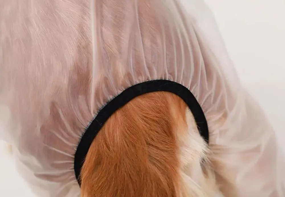 <p style="font-weight: 400;">Cet imperméable chien petite taille, vous permet d’offrir à votre toutou une protection confortable contre les intempéries ! </p> <p style="font-weight: 400;"><span style="font-weight: 400;"> Que ce soit pour les promenades sous la pluie, lors des randonnées ou simplement pour vos balades en forêt, il protège votre chien de l’humidité constante et du sable mouillé, tout en empêchant de ramener de la boue et de la saleté à la maison. </span> [cg_accordion title="Matériau"] PU [/cg_accordion] [cg_accordion title="Avantage"]</p> <ul style="font-weight: 400;"> <li>Cet imperméable pour chien à capuche est polyvalent pour les promenades sous la pluie et les sorties dans intempéries </li> <li>Body en PU avec capuche et manches longues crée une protection optimale contre l’humidité et la saleté </li> <li>Design coupe-vent avec bande réfléchissante garantit une praticité et une sécurité, même dans l’obscurité </li> <li>Doté d’une partie réservée pour attacher une laisse </li> <li>Boutons pressions permettent une mise facile [/cg_accordion] [custom_combined_shortcode title=" Guide de tailles" id="36180"] [cg_accordion title="Livraison"] La livraison s’effectuera dans un délai de 7 à 28 jours ouvrables dès la validation de votre commande. <span lang="FR"> </span>[/cg_accordion][cg_accordion title="Retour"] Si, pour quelque raison que ce soit, vous n'êtes pas pleinement satisfait, une demande de retour serait possible dans les 14 jours suivant la réception.[/cg_accordion]</li> </ul>