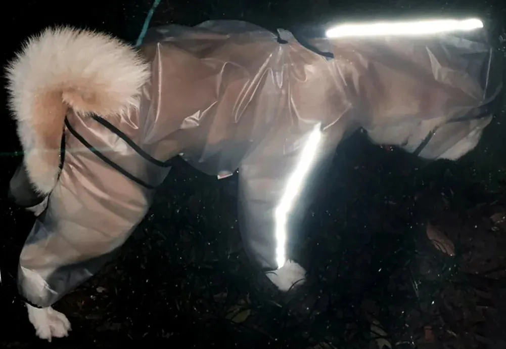 <p style="font-weight: 400;">Cet imperméable chien petite taille, vous permet d’offrir à votre toutou une protection confortable contre les intempéries ! </p> <p style="font-weight: 400;"><span style="font-weight: 400;"> Que ce soit pour les promenades sous la pluie, lors des randonnées ou simplement pour vos balades en forêt, il protège votre chien de l’humidité constante et du sable mouillé, tout en empêchant de ramener de la boue et de la saleté à la maison. </span> [cg_accordion title="Matériau"] PU [/cg_accordion] [cg_accordion title="Avantage"]</p> <ul style="font-weight: 400;"> <li>Cet imperméable pour chien à capuche est polyvalent pour les promenades sous la pluie et les sorties dans intempéries </li> <li>Body en PU avec capuche et manches longues crée une protection optimale contre l’humidité et la saleté </li> <li>Design coupe-vent avec bande réfléchissante garantit une praticité et une sécurité, même dans l’obscurité </li> <li>Doté d’une partie réservée pour attacher une laisse </li> <li>Boutons pressions permettent une mise facile [/cg_accordion] [custom_combined_shortcode title=" Guide de tailles" id="36180"] [cg_accordion title="Livraison"] La livraison s’effectuera dans un délai de 7 à 28 jours ouvrables dès la validation de votre commande. <span lang="FR"> </span>[/cg_accordion][cg_accordion title="Retour"] Si, pour quelque raison que ce soit, vous n'êtes pas pleinement satisfait, une demande de retour serait possible dans les 14 jours suivant la réception.[/cg_accordion]</li> </ul>