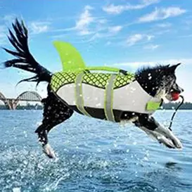<p style="font-weight: 400;">Notre gilet sauvetage chien, vous permet de donner à votre canin une protection globale lors de vos aventures aquatiques !</p> <p style="font-weight: 400;"><span style="font-weight: 400;">Que ce soit pour les baignades à la plage, les sorties en mer ou les balades en bateau au lac, vous pouvez garder votre chien en toute sécurité et mignonnerie !</span> [cg_accordion title="Matériau"] Nylon Oxfords + Polyester + Mousse [/cg_accordion] [cg_accordion title="Avantage"]</p> <ul style="font-weight: 400;"> <li>Ce gilet de sauvetage pour chien ajoute une touche de mignonnerie de requin à votre canin, attirant donc plein d’amour de tous</li> <li>Polyvalent pour les activités aquatiques comme les balades au lac, les sorties en mer et la natation, ou simplement un amusement sur la plage</li> <li>Poignée intégrée au-dessus pour une prise en main facile et une assistance efficace en cas d’urgence dans l’eau</li> <li>Fermeture auto-agrippant avec boucles clic-clac de plus, il pourra d’être facile à presser ensemble ou se détacher avec une double sécurité et une protection renforcée sans mauvaise surprise</li> <li>Combinaison de nylon oxfords, de polyester et de mousse assure une sécurité optimale, un séchage rapide et un drainage ultime</li> <li>Bande réfléchissante offre une visibilité accrue même dans l'obscurité</li> <li>Doté de boucle réservée pour attacher une laisse [/cg_accordion] [custom_combined_shortcode title=" Guide de tailles" id="35453"] [cg_accordion title="Livraison"] La livraison s’effectuera dans un délai de 7 à 28 jours ouvrables dès la validation de votre commande. <span lang="FR"> </span>[/cg_accordion][cg_accordion title="Retour"] Si, pour quelque raison que ce soit, vous n'êtes pas pleinement satisfait, une demande de retour serait possible dans les 14 jours suivant la réception.[/cg_accordion]</li> </ul>