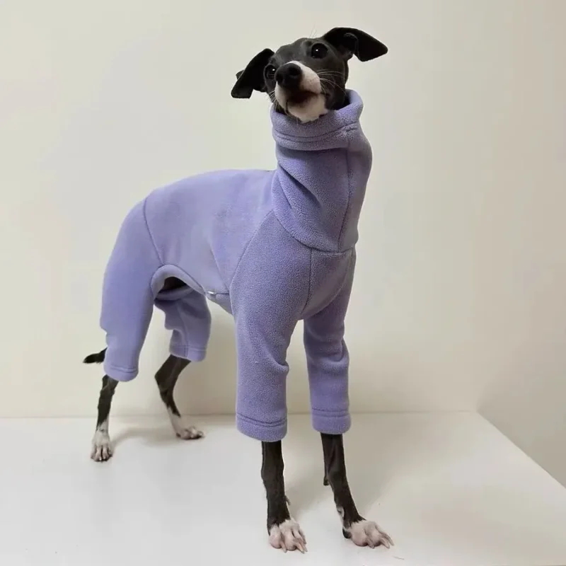 Chien élégant en jumpsuit violet, prêt pour laventure avec style et confort.