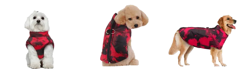 <p style="font-weight: 400;">Donnez à votre toutou un confort optimal et une isolation ultime avec ce manteau de pluie pour chien ! </p> <p style="font-weight: 400;"><span style="font-weight: 400;">Que ce soit pour les promenades sous la pluie, les balades enneigées ou simplement les sorties hivernales, votre chien sera mis en protection complète, attirant aussi plein d’attention et d’amour de la part des autres ! </span> [cg_accordion title="Matériau"] Polyester + Coton PP [/cg_accordion] [cg_accordion title="Avantage"]</p> <ul style="font-weight: 400;"> <li>Cet manteau imperméable pour chien crée un look adorable à votre canin en attirant donc plein d’affection de tous </li> <li>Polyvalent pour les escapades sous la pluie et sous la neige ou simplement un voyage en hiver </li> <li>Polyester avec rembourrage de coton PP assure un confort ultime, une isolation optimale et une respirabilité idéale </li> <li>Col haut assure une double isolation </li> <li>Fermeture à glissière permet une mise facile </li> <li>Doté d’une paire de boucles réservées pour attacher une laisse [/cg_accordion] [custom_combined_shortcode title=" Guide de tailles" id="35407"] [cg_accordion title="Livraison"] La livraison s’effectuera dans un délai de 7 à 28 jours ouvrables dès la validation de votre commande. <span lang="FR"> </span>[/cg_accordion][cg_accordion title="Retour"] Si, pour quelque raison que ce soit, vous n'êtes pas pleinement satisfait, une demande de retour serait possible dans les 14 jours suivant la réception.[/cg_accordion]</li> </ul>
