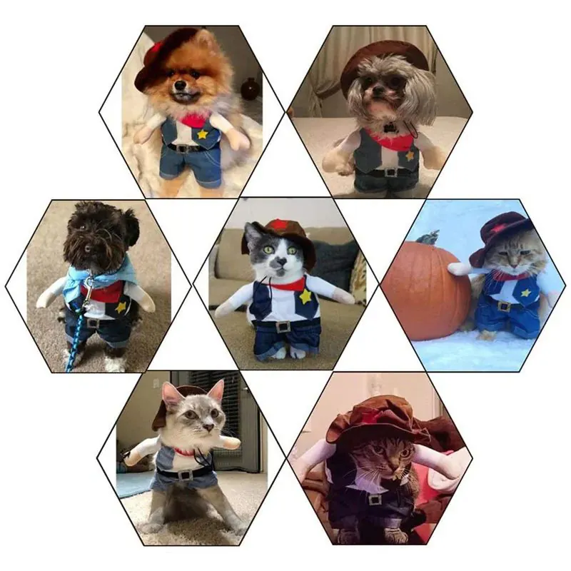 <p style="font-weight: 400;">Ces vêtements pour chats en design de cowboy ajoutent une touche de mignonnerie supplémentaire, idéal pour les fêtes, les anniversaires ou les occasions quotidiennes. </p> <p style="font-weight: 400;"><span style="font-weight: 400;">Partagez des photos ou des vidéos de votre félin sur les réseaux sociaux pour encore plus de plaisir ! </span> [cg_accordion title="Matériau"] Polyester + Coton [/cg_accordion] [cg_accordion title="Avantage"]</p> <ul style="font-weight: 400;"> <li>Ce déguisement pour chat ajoute une touche mignonne à votre félin, attirant plein d’amour des autres </li> <li>Polyvalent pour les occasions quotidiennes, les fêtes ou les sessions photo à partager sur les réseaux sociaux </li> <li>Polyester et coton assurent un confort ultime et une respirabilité optimale </li> <li>Design délicat crée une dimension ludique et amusante [/cg_accordion] [custom_combined_shortcode title=" Guide de tailles" id="35118"] [cg_accordion title="Livraison"] La livraison s’effectuera dans un délai de 7 à 28 jours ouvrables dès la validation de votre commande. <span lang="FR"> </span>[/cg_accordion][cg_accordion title="Retour"] Si, pour quelque raison que ce soit, vous n'êtes pas pleinement satisfait, une demande de retour serait possible dans les 14 jours suivant la réception.[/cg_accordion]</li> </ul>