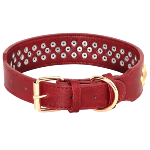 <p style="font-weight: 400;">Illuminez les promenades avec votre toutou avec notre collier pour chien en cuir !</p> <p style="font-weight: 400;"><span style="font-weight: 400;"> C’est une fusion de style et de fonctionnalité en ajoutant une touche de rock à son look. Le cuir véritable lui offre un confort ultime et une sécurité optimale ! </span> [cg_accordion title="Matériau"] Cuir véritable [/cg_accordion] [cg_accordion title="Avantage"]</p> <ul style="font-weight: 400;"> <li>Ce collier chien cuir est un accessoire adorable en exprimant votre amour pour votre canin</li> <li>Cuir offre une sensation de confort et une utilisation durable</li> <li>Inspiration de rock ajoutant une touche charmante</li> <li>Trous réglables pour un ajustement confortable et sécurisé [/cg_accordion] [custom_combined_shortcode title=" Guide de tailles" id="32903"] [cg_accordion title="Livraison"] La livraison s’effectuera dans un délai de 7 à 28 jours ouvrables dès la validation de votre commande. <span lang="FR"> </span>[/cg_accordion][cg_accordion title="Retour"] Si, pour quelque raison que ce soit, vous n'êtes pas pleinement satisfait, une demande de retour serait possible dans les 14 jours suivant la réception.[/cg_accordion]</li> </ul>