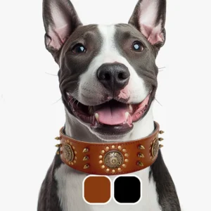 collier chien en cuir pour grand chien style boho