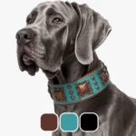 collier chien style boho pour grand chien 3 couleurs
