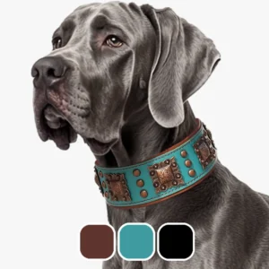 collier chien style boho pour grand chien 3 couleurs