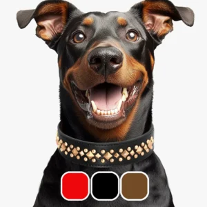 collier personnalisable en cuir style rock 3 couleurs pour grand chien