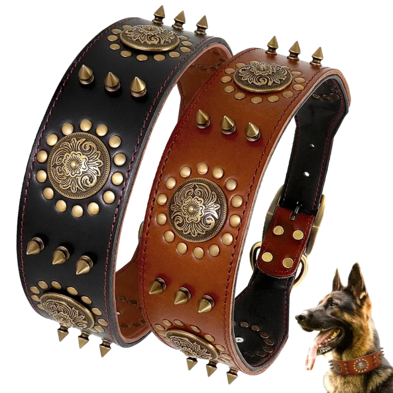 Colliers en cuir noir et marron pour chiens robustes comme le Berger Allemand.