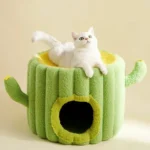 Chat blanc détendu dans un lit pour chat en forme de cactus coloré et confortable.
