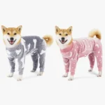 25219 aaa4a_11a70 Deux Shiba Inu en pyjamas assortis, joyeux et adorables, prêts pour une soirée confortable.