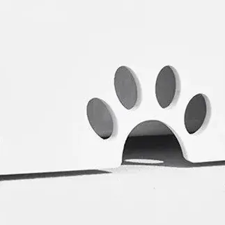<p style="font-weight: 400;">Cette gamelle eau chat, avec plaque flottant à l’intérieur, transforme la boisson de votre félin en une expérience confortable ! </p> <p style="font-weight: 400;"><span style="font-weight: 400;"> Que ce soit à la maison, au bureau ou en voyage au trajet d’autoroute, son design anti-éclaboussure s’adaptera à toutes les occasions, réduisant également les risques d’étouffement et de vomissement pour votre chat ! </span> [cg_accordion title="Matériau"] Plastique ABS & PP [/cg_accordion] [cg_accordion title="Avantage"]</p> <ul style="font-weight: 400;"> <li>Cette gamelle d'eau pour chat avec cadre étanche et plaque flottante évite les débordements, gardant le sol propre </li> <li>Bol incurvé s’adapte à la structure de la bouche du chat, offrant une expérience de boisson confortable </li> <li>Prise d’eau lente pour réduire les risques d’étouffement et de vomissement </li> <li>Design anti-éclaboussure convient à toutes les occasions (à la maison, au bureau ou en déplacement) [/cg_accordion] [custom_combined_shortcode title=" Guide de tailles" id="35775"] [cg_accordion title="Livraison"] La livraison s’effectuera dans un délai de 7 à 28 jours ouvrables dès la validation de votre commande. <span lang="FR"> </span>[/cg_accordion][cg_accordion title="Retour"] Si, pour quelque raison que ce soit, vous n'êtes pas pleinement satisfait, une demande de retour serait possible dans les 14 jours suivant la réception.[/cg_accordion]</li> </ul>
