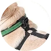 <p style="font-weight: 400;">Ce set de chaussures pour chien imperméables, laisse votre canin explorer le monde en éloignant l’humidité et de la saleté ! </p> <p style="font-weight: 400;"><span style="font-weight: 400;"> Que ce soit pour les promenades dans le quartier, les escapades à la compagne sous la pluie ou les sorties dans intempéries, il donne à votre chien une protection propre, créant son pur bonheur ! </span> [cg_accordion title="Matériau"] Polyester [/cg_accordion] [cg_accordion title="Avantage"]</p> <ul style="font-weight: 400;"> <li>Cet ensemble de chaussures chien aide votre canin à éloigner l’humidité et de la saleté </li> <li>Polyvalent pour les balades dans le quartier, les promenades sous la pluie ou simplement les sorties dans intempéries </li> <li>Fermeture auto-agrippant pour une mise facile </li> <li>Boucles réglables font des ajustements parfaits </li> <li>Design intégré au collier maintient les chaussons en place sans risque de chute </li> <li>Polyester assure une imperméabilité optimale et une respirabilité ultime </li> <li>Texture antidérapant garantit une protection sécurisée [/cg_accordion] [custom_combined_shortcode title=" Guide de tailles" id="36261"] [cg_accordion title="Livraison"] La livraison s’effectuera dans un délai de 7 à 28 jours ouvrables dès la validation de votre commande. <span lang="FR"> </span>[/cg_accordion][cg_accordion title="Retour"] Si, pour quelque raison que ce soit, vous n'êtes pas pleinement satisfait, une demande de retour serait possible dans les 14 jours suivant la réception.[/cg_accordion]</li> </ul>