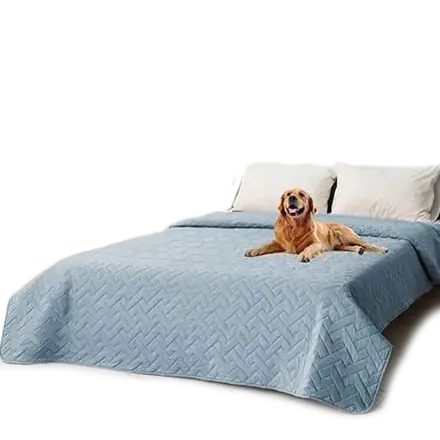 <p style="font-weight: 400;">Notre tapis XXL pour chien permet d’offrir une ultime oasis de confort à votre compagnon canin. </p> <p style="font-weight: 400;"><span style="font-weight: 400;">Son design à 4 couches garantit un confort durable, faisant de ce tapis le coin préféré de votre toutou. Disponible en différentes tailles, de M à 4XL, il s’adapte parfaitement à tous les espaces de vie, du panier traditionnel, au canapé du salon, en passant par les voyages en voiture. L’imperméabilité prévient les accidents, gardant chaque surface propre et vous évitant toute inquiétude. </span> [cg_accordion title="Matériau"] Microfibre + TPU + Fibre textile + Polyester [/cg_accordion] [cg_accordion title="Avantage"]</p> <ul style="font-weight: 400;"> <li>Ce tapis pour chien XXL offre à votre toutou un vaste territoire pour ses nuits réparatrices, siestes et moments de détente. </li> <li>La technologie des 4 couches allie confort optimal et protection imperméable. </li> <li>La gamme de tailles avec 6 dimensions disponibles (jusqu’à 4XL) accueille les races géantes ou plusieurs chiens à la fois. </li> <li>Son multi-usage permet de s’utiliser comme tapis de sol ou protection sur canapés/lits/sièges auto. </li> <li>Sa résistance aux lavages en machine apporte un nettoyage simplifié sans perdre en qualité. [/cg_accordion] [custom_combined_shortcode title=" Guide de tailles" id="31774"] [cg_accordion title="Livraison"] La livraison s’effectuera dans un délai de 7 à 28 jours ouvrables dès la validation de votre commande. <span lang="FR"> </span>[/cg_accordion][cg_accordion title="Retour"] Si, pour quelque raison que ce soit, vous n'êtes pas pleinement satisfait, une demande de retour serait possible dans les 14 jours suivant la réception.[/cg_accordion]</li> </ul>