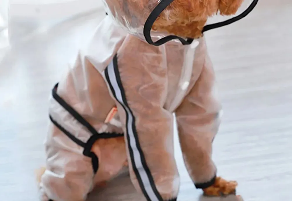<p style="font-weight: 400;">Cet imperméable chien petite taille, vous permet d’offrir à votre toutou une protection confortable contre les intempéries ! </p> <p style="font-weight: 400;"><span style="font-weight: 400;"> Que ce soit pour les promenades sous la pluie, lors des randonnées ou simplement pour vos balades en forêt, il protège votre chien de l’humidité constante et du sable mouillé, tout en empêchant de ramener de la boue et de la saleté à la maison. </span> [cg_accordion title="Matériau"] PU [/cg_accordion] [cg_accordion title="Avantage"]</p> <ul style="font-weight: 400;"> <li>Cet imperméable pour chien à capuche est polyvalent pour les promenades sous la pluie et les sorties dans intempéries </li> <li>Body en PU avec capuche et manches longues crée une protection optimale contre l’humidité et la saleté </li> <li>Design coupe-vent avec bande réfléchissante garantit une praticité et une sécurité, même dans l’obscurité </li> <li>Doté d’une partie réservée pour attacher une laisse </li> <li>Boutons pressions permettent une mise facile [/cg_accordion] [custom_combined_shortcode title=" Guide de tailles" id="36180"] [cg_accordion title="Livraison"] La livraison s’effectuera dans un délai de 7 à 28 jours ouvrables dès la validation de votre commande. <span lang="FR"> </span>[/cg_accordion][cg_accordion title="Retour"] Si, pour quelque raison que ce soit, vous n'êtes pas pleinement satisfait, une demande de retour serait possible dans les 14 jours suivant la réception.[/cg_accordion]</li> </ul>