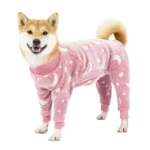 25219 op pe_11a70 Shiba Inu adorable en habit rose pastel, confortable et joyeux, prêt pour laventure.