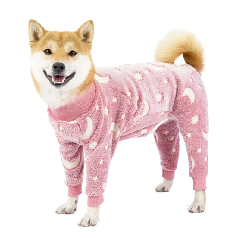 Shiba Inu adorable en habit rose pastel, confortable et joyeux, prêt pour laventure.