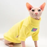 24323 aaa5_11a70 Sphynx en pull jaune, regard curieux, style amusant et tendance féline.