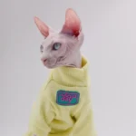 24323 aaa2_11a70 Sphynx élégant en pull jaune, mettant en valeur son charme unique et son style ludique.