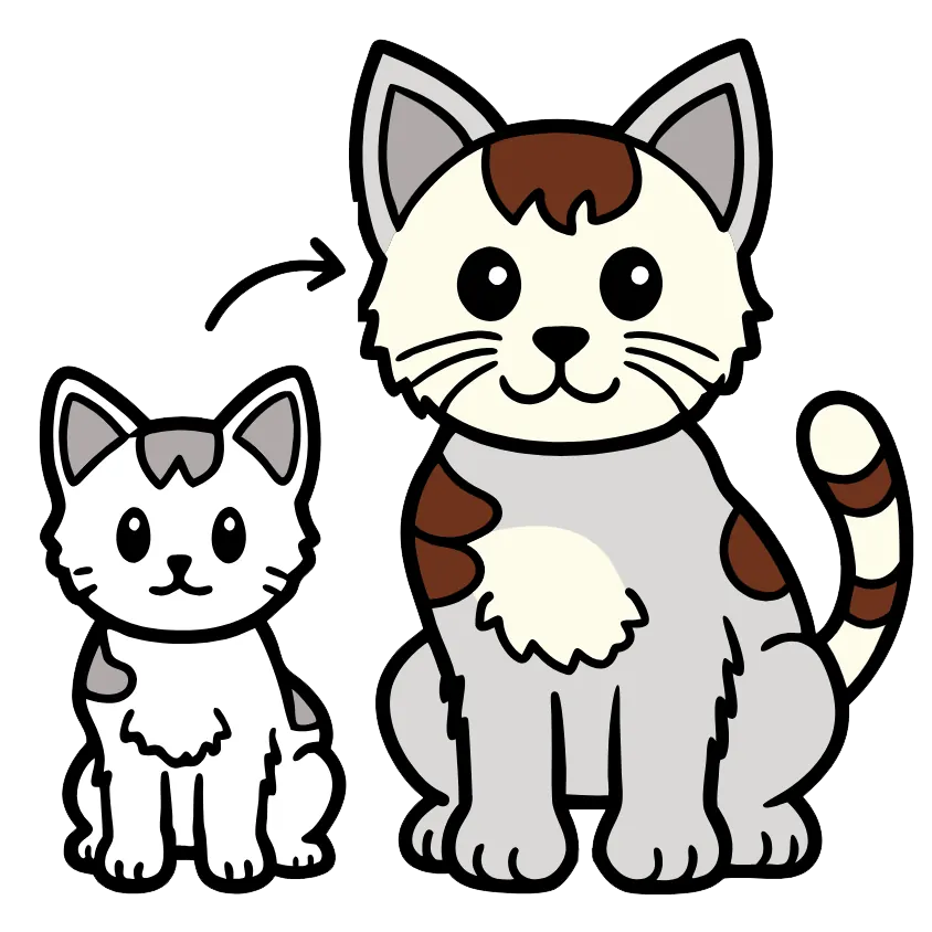 Âge chat en humain : calculatrice gratuite & guide complet | Animimi