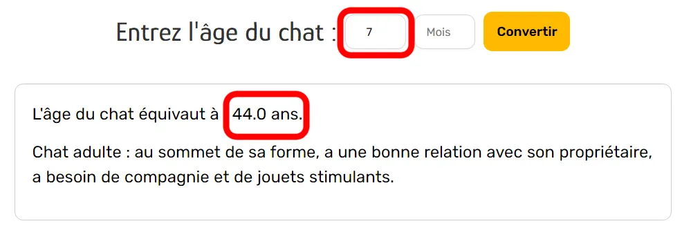 chat âgé 7 ans équivalent humain