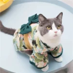 Chat curieux en kimono coloré sur une table bleue, adorable et élégant.