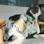 Chat élégant en kimono floral sur un canapé lumineux, ambiance chaleureuse et artistique.
