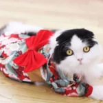 Chat noir et blanc adorable en tenue florale sur un sol en bois chaleureux.