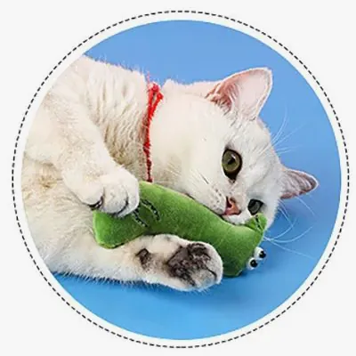 <p style="font-weight: 400;">Ce doudou pour chat, vous permet d’offrir à votre félin des heures de divertissement et de mastication ! </p> <p style="font-weight: 400;"><span style="font-weight: 400;"> La peluche rembourrée de coton et d’herbe à chat encourage son instinct naturel à jouer et à chasser, tout en apaisant le stress et protégeant les gencives ! </span> [cg_accordion title="Matériau"] Peluche + Coton PP + Herbe à chat [/cg_accordion] [cg_accordion title="Avantage"]</p> <ul style="font-weight: 400;"> <li>Il s’agit des jouets chats pour les félins d’intérieur, encourageant leurs exercices physiques </li> <li>Formes mignonnes avec détailles ludiques stimulent leur instinct naturel de chasse </li> <li>Que ce soit s’amuser tout seul ou avec vous, ils sont un compagnon affectueux, surtout pendant vos absences (anti stresse/solitude) </li> <li>Peluche avec rembourrage en coton PP pour une douceur moelleuse </li> <li> Herbe à chat à l’intérieur augmentant l’excitation [/cg_accordion] [custom_combined_shortcode title=" Guide de tailles" id="35656"] [cg_accordion title="Livraison"] La livraison s’effectuera dans un délai de 7 à 28 jours ouvrables dès la validation de votre commande. <span lang="FR"> </span>[/cg_accordion][cg_accordion title="Retour"] Si, pour quelque raison que ce soit, vous n'êtes pas pleinement satisfait, une demande de retour serait possible dans les 14 jours suivant la réception.[/cg_accordion]</li> </ul>