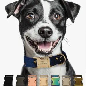 collier chien personnalisé style bleu étoile 7 style boucles.
