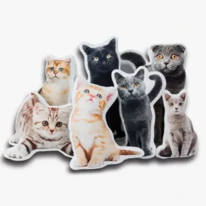 Collection de peluches de chats colorées, adorables et invitantes pour les amoureux des félins.