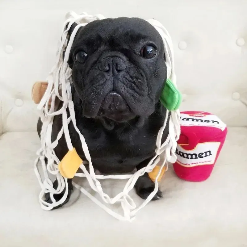 <p style="font-weight: 400;">Invitez votre canin à profiter de son plaisir de renifler et explorer ses friandises avec ce jouet pour chien !</p> <p style="font-weight: 400;"><span style="font-weight: 400;"> Un amusement de fouille lui permet d’avoir d’une expérience sensorielle tout en stimulant le sens olfactif et libérant son énergie ! Enrichissez sa vie dès aujourd’hui ! </span> [cg_accordion title="Matériau"] Polymère (Secteur Alimentaire) + Coton [/cg_accordion] [cg_accordion title="Avantage"]</p> <ul style="font-weight: 400;"> <li>Il s’agit des jouets pour chiens en stimulant ses capacités olfactives</li> <li>10mn d’entraînement au reniflement équivaut à 1h de course, aidant ainsi à libérer son énergie</li> <li>Favorise l’alimentation plus lente en réduisant la charge digestive</li> <li>Stimule son intelligence et soulage le mal de dents en cas de besoin</li> <li>Conception du sifflet sonore pour une joie supplémentaire</li> <li>Détails attractifs de la corde pour encourager le plaisir et l’engagement</li> <li>Combinaison de peluche et de coton pour une facilité d’entretien et un usage en toute sécurité</li> <li>Anti stresse/solitude surtout pendant vos absences [/cg_accordion] [custom_combined_shortcode title=" Guide de tailles" id="34024"] [cg_accordion title="Livraison"] La livraison s’effectuera dans un délai de 7 à 28 jours ouvrables dès la validation de votre commande. <span lang="FR"> </span>[/cg_accordion][cg_accordion title="Retour"] Si, pour quelque raison que ce soit, vous n'êtes pas pleinement satisfait, une demande de retour serait possible dans les 14 jours suivant la réception.[/cg_accordion]</li> </ul>