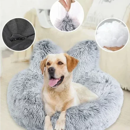 Golden Retriever : Tempérament, Santé et Budget à Prévoir Coussin anti-stress design lapinou pour chien