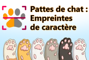 6 Zhǒng māo zhuǎzi de xíngzhuàng dàibiǎo 6 zhǒng māo dì xìnggé 16 / 5,000 6 types de formes de pattes de chat représentent 6 types de personnalités de chat