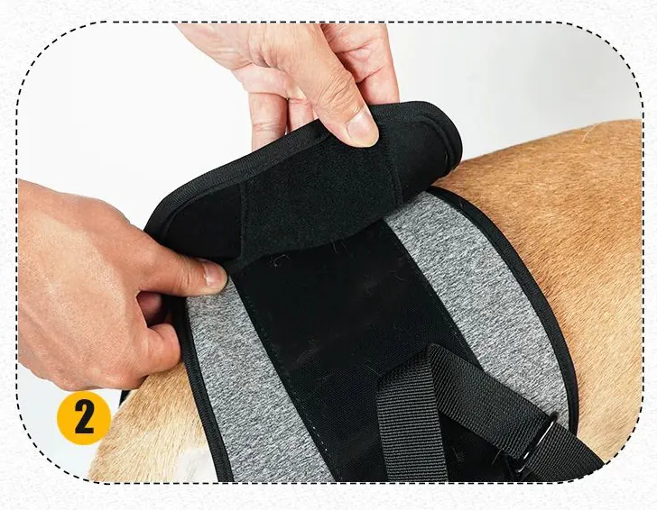 <p style="font-weight: 400;">Ce harnais pour chien handicapé train arrière, vous permet d’offrir à votre canin un soutien confortable et professionnel !</p> <p style="font-weight: 400;"><span style="font-weight: 400;"> Que ce soit pour les chiens âgés, blessés, en surpoids ou en rééducation post-opératoire, son design de support arrière réduit la tension sur les articulations, procurant un pur bonheur ! </span> [cg_accordion title="Matériau"] Polyester + Caoutchouc SBR [/cg_accordion] [cg_accordion title="Avantage"]</p> <ul style="font-weight: 400;"> <li>Ce harnais chien d’assistance, parfait pour les canins handicapés, blessés, âgés, en surpoids ou en rééducation post-opératoire, facilite leurs déplacements</li> <li>Design professionnel réduit la pression sur les articulations et répartit le poids uniformément, prévenant les maux de dos</li> <li>Polyvalent pour une aide à la marche, aux montées d’escaliers et de voiture</li> <li>Combinaison de polyester et SBR crée un confort optimal et une robustesse durable</li> <li>Doté d’un renfoncement pour la défécation et d’un velcro ajustable, il offre une praticité ultime lors d’utilisation</li> <li>Bretelle rembourrée crée un port confortable [/cg_accordion] [custom_combined_shortcode title=" Guide de tailles" id="37758"] [cg_accordion title="Livraison"] La livraison s’effectuera dans un délai de 7 à 28 jours ouvrables dès la validation de votre commande. <span lang="FR"> </span>[/cg_accordion][cg_accordion title="Retour"] Si, pour quelque raison que ce soit, vous n'êtes pas pleinement satisfait, une demande de retour serait possible dans les 14 jours suivant la réception.[/cg_accordion]</li> </ul>
