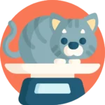 <p style="font-weight: 400;">Ce parcours mural chat, vous permet de créer un paradis du divertissement pour votre félin ! </p> <p style="font-weight: 400;"><span style="font-weight: 400;"> Que ce soit pour lui offrir le summum de la joie sans fin, des aventures en hauteur, un pont amusant ou un espace d’observation, la combinaison de bois massif et de sisal assure une sécurité optimale et un amusement parfait, ajoutant une touche très sympathique et originale à votre décoration intérieure. </span> [cg_accordion title="Matériau"] Bois massif + Sisal [/cg_accordion] [cg_accordion title="Avantage"]</p> <ul style="font-weight: 400;"> <li>Ce parcours chat mural crée un pont confortable, naturel et amusant pour les aventures en hauteur de votre félin </li> <li>Installation murale économise l’espace de votre domicile en libérant de l’endroit au sol </li> <li>Combinaison de bois massif et de sisal, inodore et robuste, est résistante à l’usure et aux rayures, protégeant les griffes de votre chat </li> <li>Design chic s’intègre parfaitement à la décoration intérieure </li> <li>Trous pré-percées avec kit d’installation inclus [/cg_accordion] [custom_combined_shortcode title=" Guide de tailles" id="36994"] [cg_accordion title="Livraison"] La livraison s’effectuera dans un délai de 7 à 28 jours ouvrables dès la validation de votre commande. <span lang="FR"> </span>[/cg_accordion][cg_accordion title="Retour"] Si, pour quelque raison que ce soit, vous n'êtes pas pleinement satisfait, une demande de retour serait possible dans les 14 jours suivant la réception.[/cg_accordion]</li> </ul>