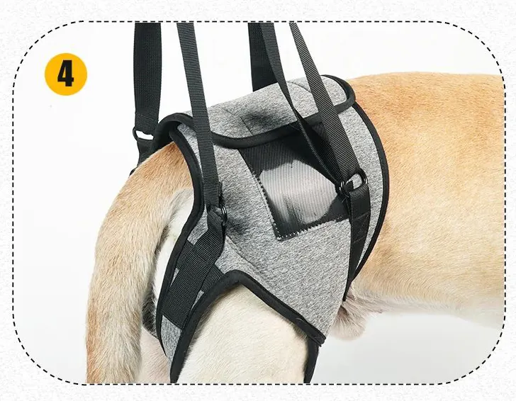 <p style="font-weight: 400;">Ce harnais pour chien handicapé train arrière, vous permet d’offrir à votre canin un soutien confortable et professionnel !</p> <p style="font-weight: 400;"><span style="font-weight: 400;"> Que ce soit pour les chiens âgés, blessés, en surpoids ou en rééducation post-opératoire, son design de support arrière réduit la tension sur les articulations, procurant un pur bonheur ! </span> [cg_accordion title="Matériau"] Polyester + Caoutchouc SBR [/cg_accordion] [cg_accordion title="Avantage"]</p> <ul style="font-weight: 400;"> <li>Ce harnais chien d’assistance, parfait pour les canins handicapés, blessés, âgés, en surpoids ou en rééducation post-opératoire, facilite leurs déplacements</li> <li>Design professionnel réduit la pression sur les articulations et répartit le poids uniformément, prévenant les maux de dos</li> <li>Polyvalent pour une aide à la marche, aux montées d’escaliers et de voiture</li> <li>Combinaison de polyester et SBR crée un confort optimal et une robustesse durable</li> <li>Doté d’un renfoncement pour la défécation et d’un velcro ajustable, il offre une praticité ultime lors d’utilisation</li> <li>Bretelle rembourrée crée un port confortable [/cg_accordion] [custom_combined_shortcode title=" Guide de tailles" id="37758"] [cg_accordion title="Livraison"] La livraison s’effectuera dans un délai de 7 à 28 jours ouvrables dès la validation de votre commande. <span lang="FR"> </span>[/cg_accordion][cg_accordion title="Retour"] Si, pour quelque raison que ce soit, vous n'êtes pas pleinement satisfait, une demande de retour serait possible dans les 14 jours suivant la réception.[/cg_accordion]</li> </ul>