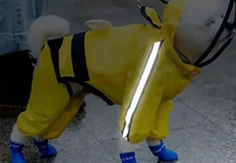 <p style="font-weight: 400;">Cet imperméable pour petit chien, vous permet d’assurer un confort optimal à votre toutou contre les intempéries !</p> <p style="font-weight: 400;"><span style="font-weight: 400;"> Que ce soit pour les promenades sous la pluie, une virée au marché par temps venteux, ou simplement les sessions photo à partager sur les réseaux sociaux, votre chien sera soigneusement protégé, attirant plein d’attention et d’amour de la part des autres ! </span> [cg_accordion title="Matériau"] Polyester + Tissu Maillé [/cg_accordion] [cg_accordion title="Avantage"]</p> <ul style="font-weight: 400;"> <li>Cet imperméable pour chien à capuche crée un look super mignon à votre canin en attirant plein d’affection de tous</li> <li>Polyvalent pour les escapades sous la pluie, les sorties dans intempéries ou simplement les sessions photo</li> <li>Polyester avec couche maillée à l’intérieur assure un confort ultime et une respirabilité idéale</li> <li>Design coupe-vent avec col haut également bande réfléchissante garantit une protection complète, même dans l’obscurité</li> <li>Bords élastiques aux manches permettent un ajustement parfait, assurant une isolation pour bien envelopper son corps</li> <li>Bande réfléchissante garantit une protection complète, même dans l’obscurité</li> <li>Avec fermeture à bouton pression, il pourra d’être facile à presser ensemble ou se détacher</li> <li>Doté d’une partie réservée pour attacher une laisse [/cg_accordion] [custom_combined_shortcode title=" Guide de tailles" id="37157"] [cg_accordion title="Livraison"] La livraison s’effectuera dans un délai de 7 à 28 jours ouvrables dès la validation de votre commande. <span lang="FR"> </span>[/cg_accordion][cg_accordion title="Retour"] Si, pour quelque raison que ce soit, vous n'êtes pas pleinement satisfait, une demande de retour serait possible dans les 14 jours suivant la réception.[/cg_accordion]</li> </ul>