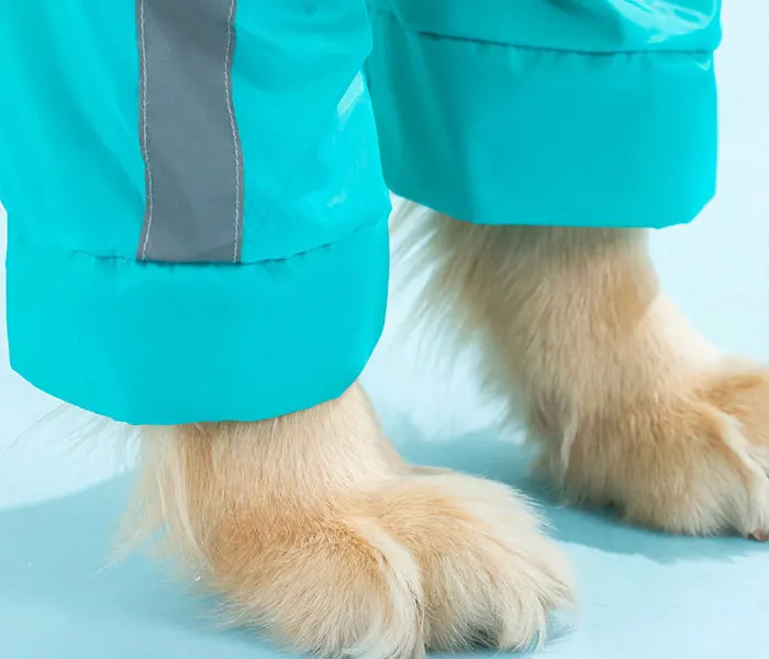 <p style="font-weight: 400;">Cet imperméable grand chien, vous permet de donner à votre canin une protection globale contre les intempéries ! </p> <p style="font-weight: 400;"><span style="font-weight: 400;"> Que ce soit pour les balades sous la pluie, une virée au marché par temps venteux ou lors des randonnées, votre chien sera soigneusement protégé de l’humidité et du sable mouillé, tout en empêchant de ramener de la boue et de la saleté à la maison ! </span> [cg_accordion title="Matériau"] Polyester + Tissu Maillé [/cg_accordion] [cg_accordion title="Avantage"]</p> <ul style="font-weight: 400;"> <li>Cet imperméable pour chien crée un look mignon à votre canin, attirant donc plein d’affection et d’attention de tous </li> <li>Polyvalent pour les promenades sous la pluie et les sorties dans intempéries </li> <li>Body avec capuche, manches longues et enveloppe amovible de queue crée une protection optimale contre l’humidité et la saleté </li> <li>Design coupe-vent avec bande réfléchissante garantit une praticité et une sécurité, même dans l’obscurité </li> <li>Doté d’une partie réservée pour attacher une laisse </li> <li>Boutons pressions permettent une mise facile [/cg_accordion] [custom_combined_shortcode title=" Guide de tailles" id="37611"] [cg_accordion title="Livraison"] La livraison s’effectuera dans un délai de 7 à 28 jours ouvrables dès la validation de votre commande. <span lang="FR"> </span>[/cg_accordion][cg_accordion title="Retour"] Si, pour quelque raison que ce soit, vous n'êtes pas pleinement satisfait, une demande de retour serait possible dans les 14 jours suivant la réception.[/cg_accordion]</li> </ul>