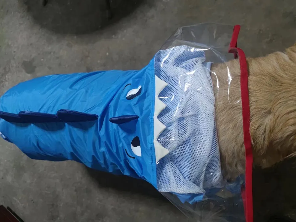 Imperméable Pour Grand Chien Dino photo review