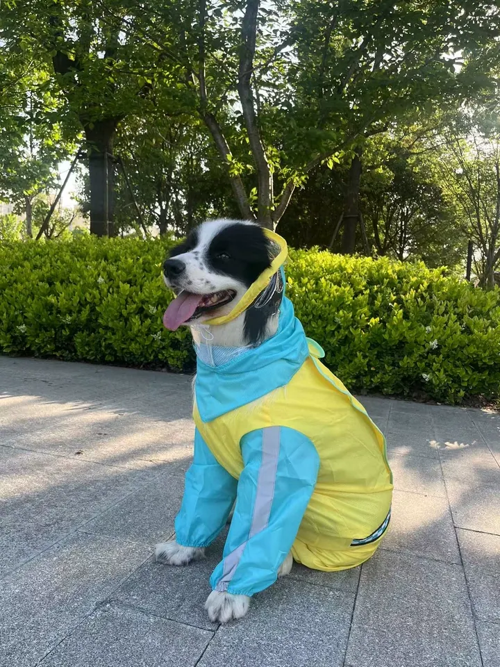 Imperméable Grand Chien Junto photo review