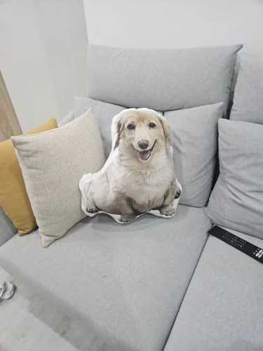 Coussin Chien Personnalisé à Posture Unique 3D photo review
