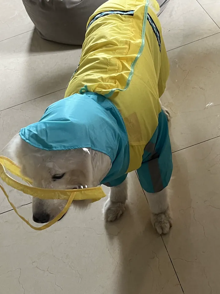 Imperméable Grand Chien Junto photo review