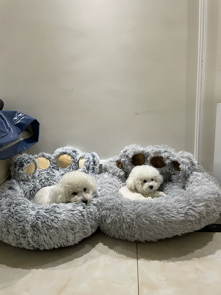 Grand Panier Pour Chien Design Patte photo review