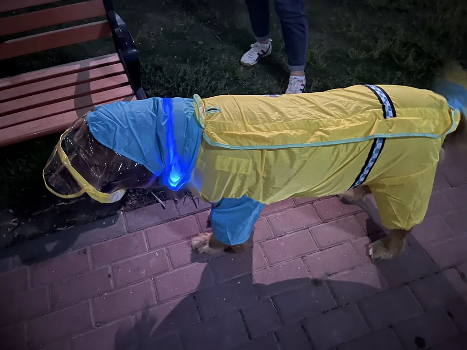 Imperméable Grand Chien Junto photo review